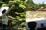 日本庭園と茶室でデジカメ撮影会