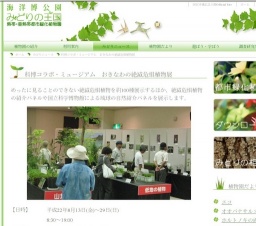 科博コラボ・ミュージアム おきなわの絶滅危惧植物展