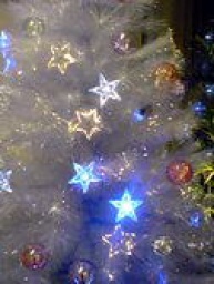 研究発表会＆講演会＆ネットワーキングクリスマスパーティ