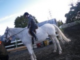平日イベント　本格乗馬体験　社会人サークルFEAD
