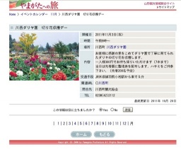 川西ダリヤ園 切り花収穫デー