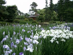 弘前市藤田記念庭園無料開放日