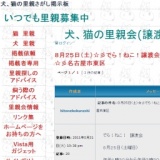 でら！ねこ！「猫の譲渡会」