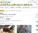 かわいい動物が大集合！ 春のふれあい動物園 