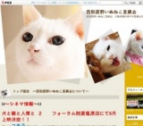 西那須野いぬねこ里親会