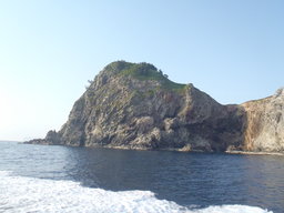 隠岐諸島・無人島ボランティア＆バードウォッチング