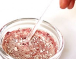 クレイパック講座