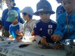 岬でフィッシング！！～釣ってさばいて食べよう～