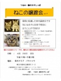 第9回つるみ・猫のカギしっぽ譲渡会
