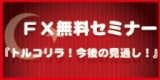 FX無料セミナー『トルコリラ！今後の見通し！』