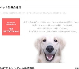 2017年カレンダーの画像募集CP