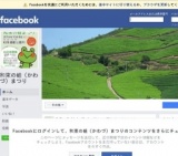 和束の蛙まつり