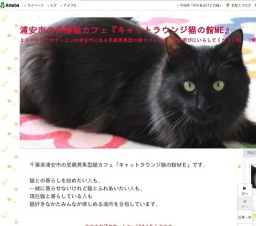 ラッキーバッグ作り隊募集