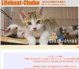 子猫との面会日