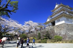 お花見パーティーIN小田原城址公園