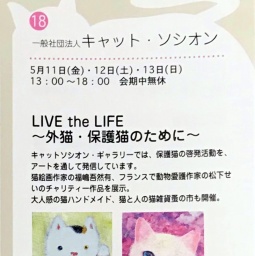 LIVE the LIFE～外猫・保護猫のために～
