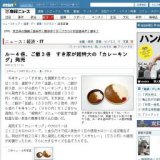 ルー4倍、ご飯3倍 すき家が超特大の「カレーキング」発売