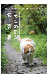 「そこのまる」写真展