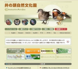キュウシュウノウサギの展示を始めました