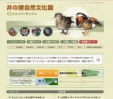 キュウシュウノウサギの展示を始めました
