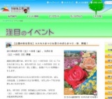 【公園の秋を彩る】コスモスまつり＆香りのばらまつり・秋 開催！