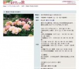 秋のバラまつり2011