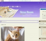 でら！ねこ！「猫の譲渡会」