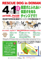 第3回合同ふれあい会