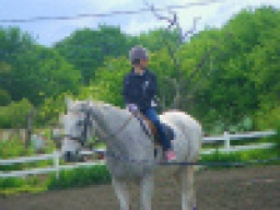 平日アウトドア 本格 乗馬体験♪ ■ 社会人サークルFEAD ■