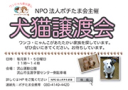 犬猫譲渡会
