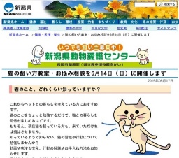 猫の飼い方教室・お悩み相談