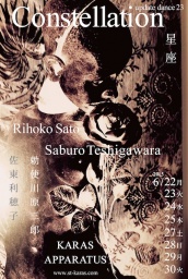 勅使川原三郎 KARAS アップデイトダンスNo.23「星座」