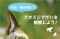 南三陸端っこ巡り～荒砥・権現地区でアオスジアゲハを観察しよう！～ 