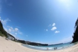 第5回アカウミガメの産卵地保全と利用のための勉強会ー下田市でのアカウミガメ保全のこれからー