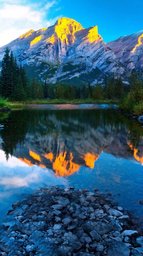 資金ゼロから自由を築く‼︎ 学校じゃ教えてくれないお金の知識 〜究極の資産形成実体験・キャッ...