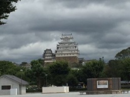 入門コースは、マンガの描き方から教えてくれる(^^♪