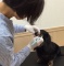 オーラルケアを通してペットの健康管理を提案するセミナー