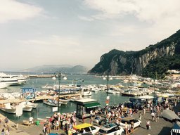 1泊2日ホームステイプログラム