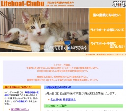 子猫との面会日&譲渡会