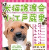 犬猫譲渡会