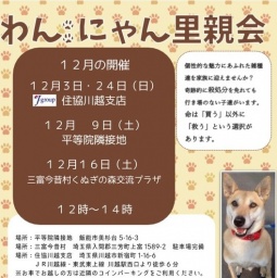 わんにゃん里親会