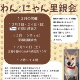 わんにゃん里親会