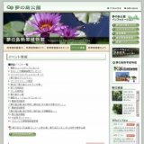 おみくじ付観葉植物プレゼント