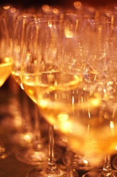 ワインラヴァーズフェスティバル2010　YOKOHAMA