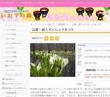 山屋・峠ミズバショウまつり