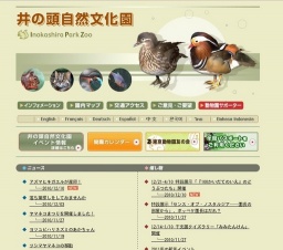 アズマヒキガエルが産卵！