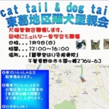 犬猫の里親探し譲渡会＆シェルター見学会