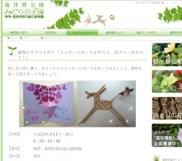 植物のクラフト作り「メッセージカードを作ろう、馬グヮーを作ろう！」