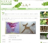 植物のクラフト作り「メッセージカードを作ろう、馬グヮーを作ろう！」