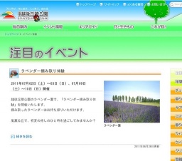 ラベンダー摘み取り体験